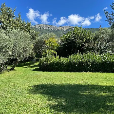Il Bruco-3
