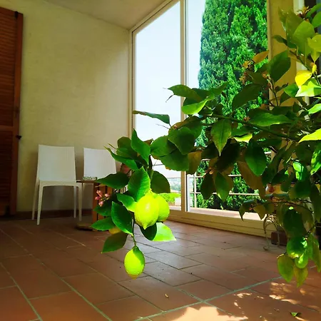B&B Signora Minù-2