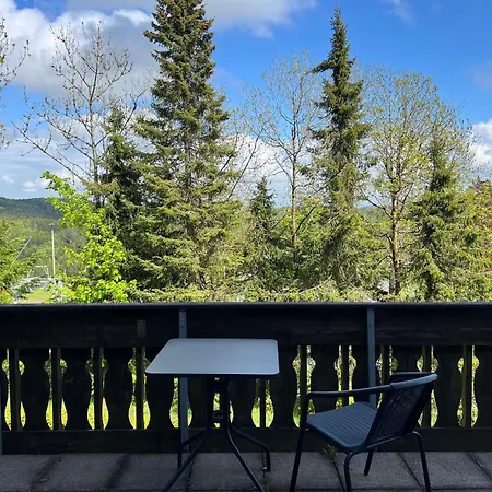 Pension Mountain View Sauerland-3