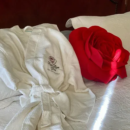 Red Rose Inn Bed And Breakfast-2