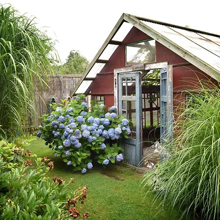 B&B Olsegarden-2