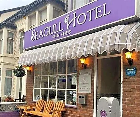 Seagull Hotel-3