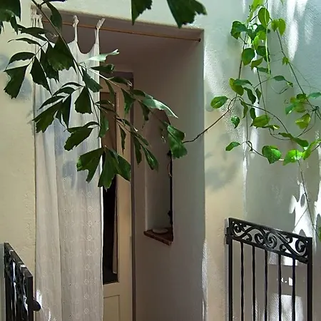 Lez Lezards Bed & Breakfast-3