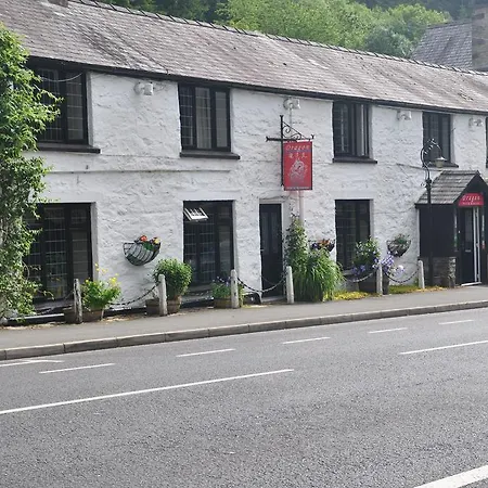 Dragon Bed And Breakfast-3