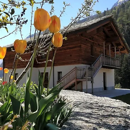 B&B Lorelei-3