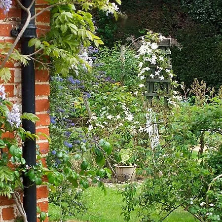 The Old Vicarage Bed And Breakfast-3