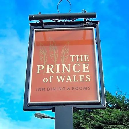 Prince Of Wales Marlow-3