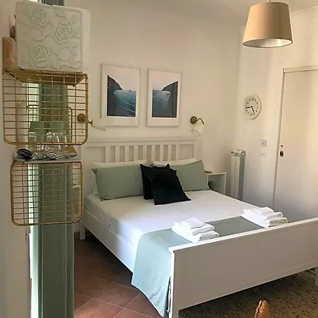 Pizzo Central House-2