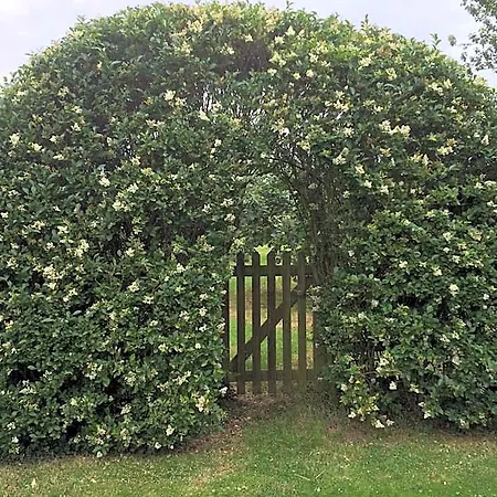 Lime Trees Farm-3