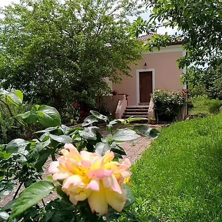 L'Antico Gelso-3