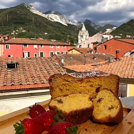 Carrara Bella-3