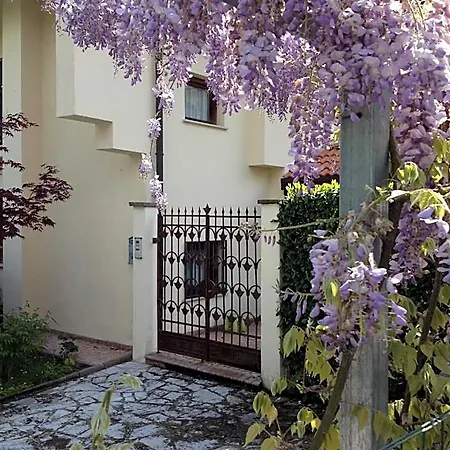 B&B Piccole Dolomiti-2