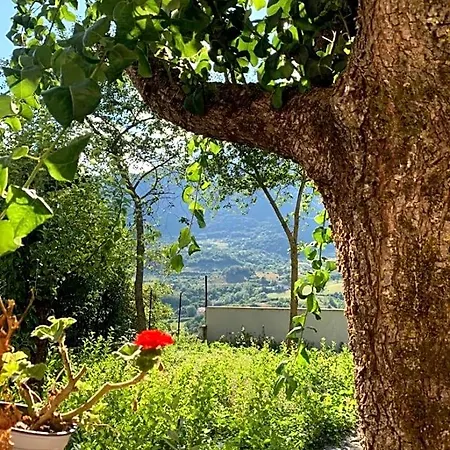 B&B Al San Francesco-2