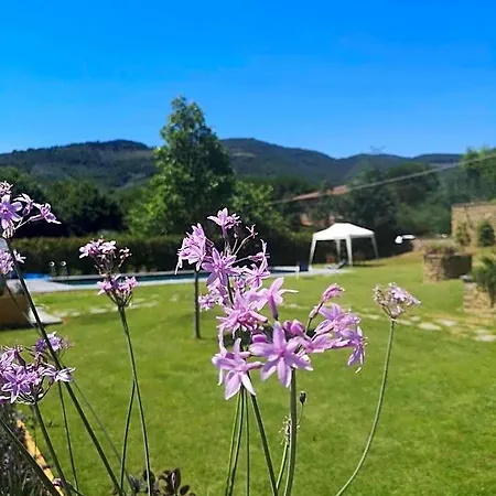 Alba Morus Bed & Breakfast, Sentiti A Casa Nel Cuore Della Toscana-3