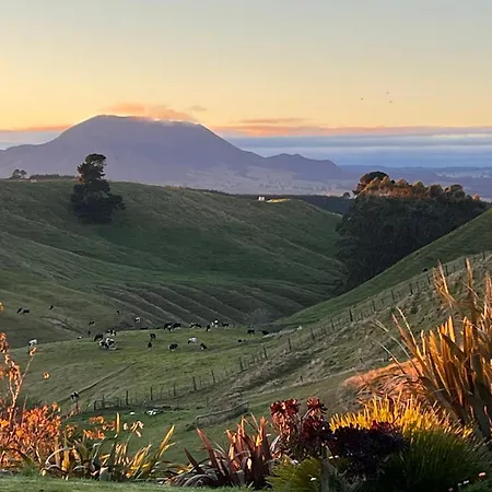 Hilltop Whakaipo Estate-2