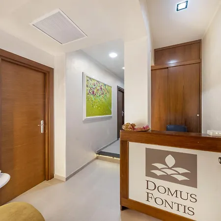 Domus Fontis-3