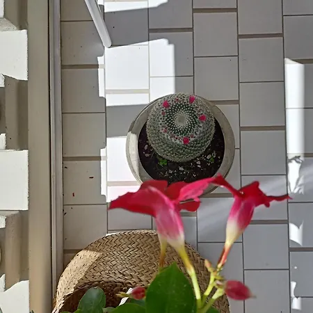 Maison Fleurie-2