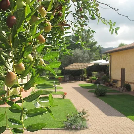 Podere Turicchio-2