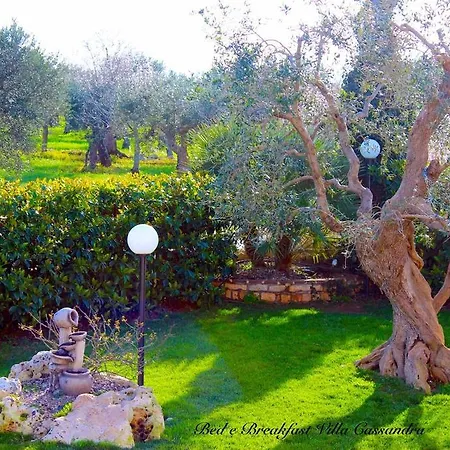 B&B Villa Cassandra-3