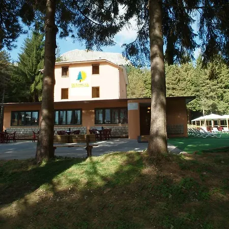 La Pinetina-2