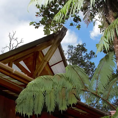 Lotus Garden Cottages-3