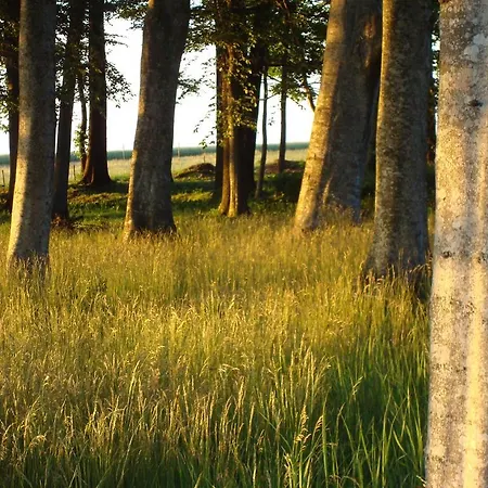Säbyholms Gård-3