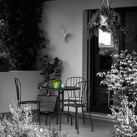 B&B Il Vigneto-3