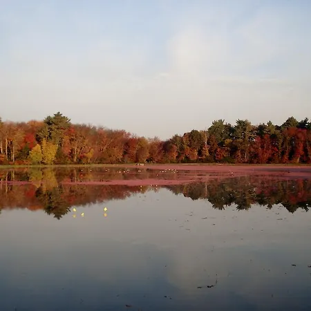 On Cranberry Pond Bed And Breakfast-3