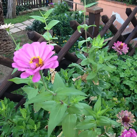 B&B Villa Di Giorgi-2