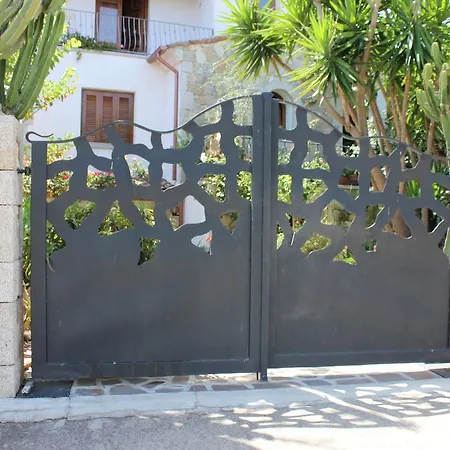 B&B Chorisia-2