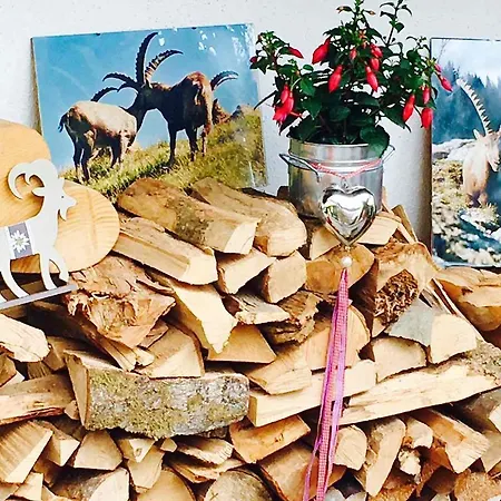 Steinbock Bed&Breakfast-2