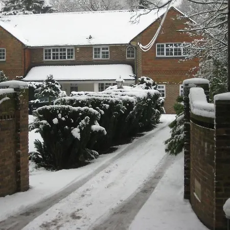 Tanglewood Gatwick Bed & Breakfast-3