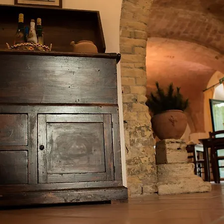 Il Casale Degli Ulivi B&B-2