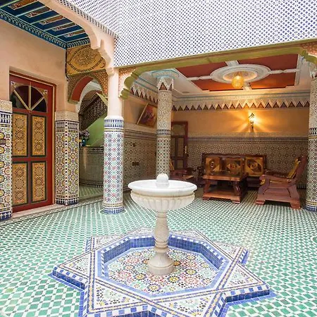 Ryad Hamza-2