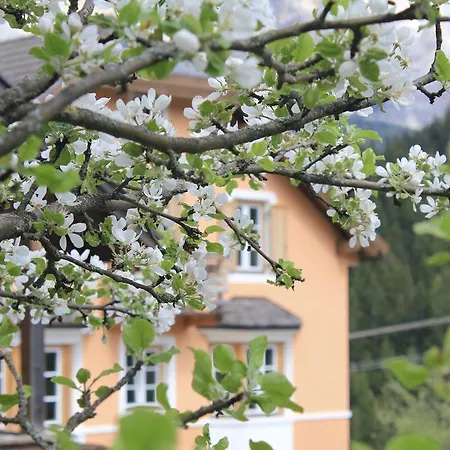 Villa Alba-3