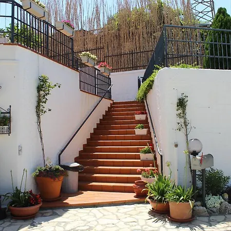 B&B Pizzo Cannicchio-2