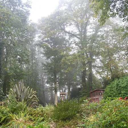 Thornybank-2