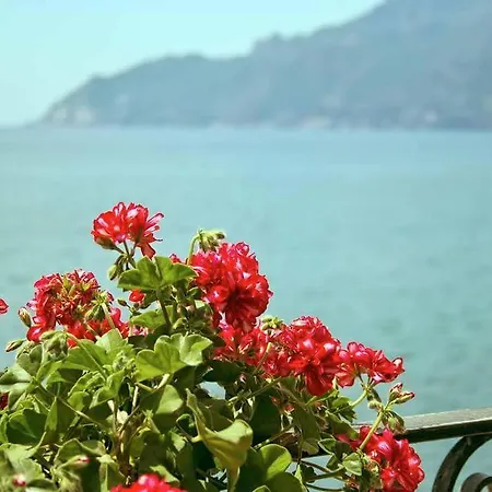 B&B Fronte Del Mare-2