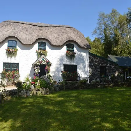 Lissyclearig Thatched Cottage-3