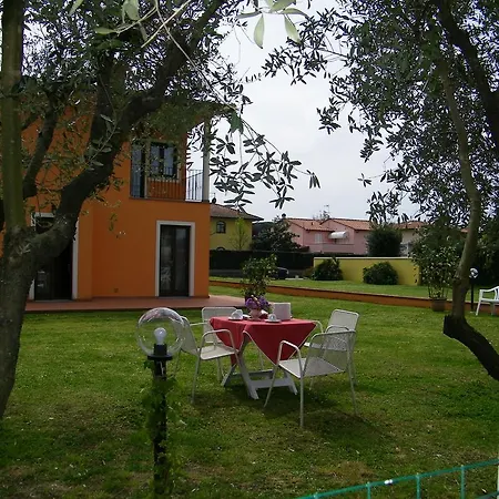 Triolivo B&B-3