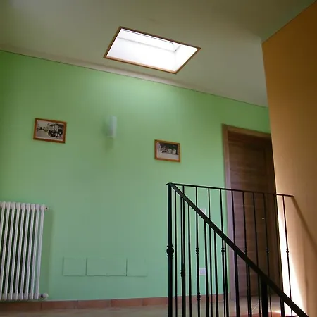 Triolivo B&B-3