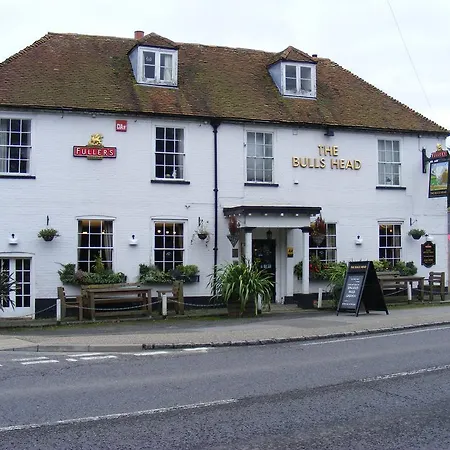 The Bulls Head-2