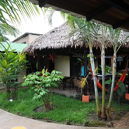 Hotel Amazon Bed And Breakfast-2