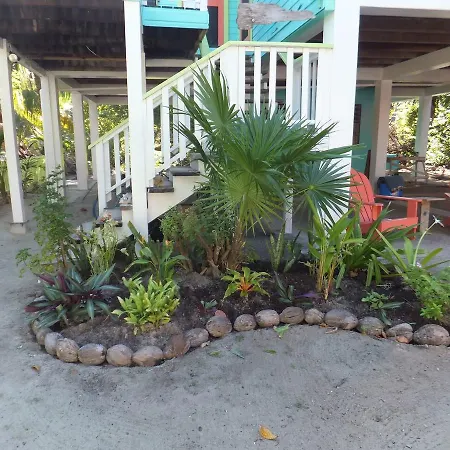 The Bottle Tree House-3