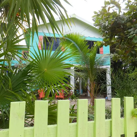 The Bottle Tree House-2
