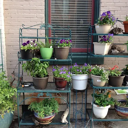 Main Street Bed & Breakfast-2