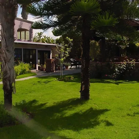 The Black Orchid Bed And Breakfast-3