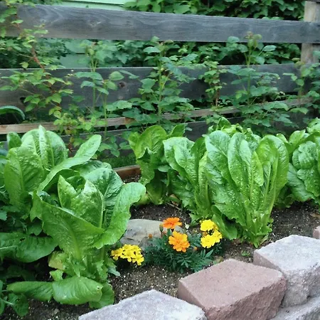 Gardenside Bed And Breakfast-3