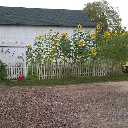 Shamrock Farms Bed And Breakfast-3