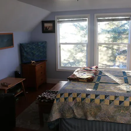 Sunshine House Bed And Breakfast-3